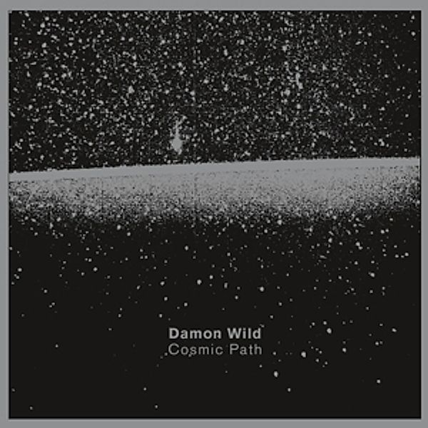Cosmic Path (2lp) (Vinyl), Damon Wild