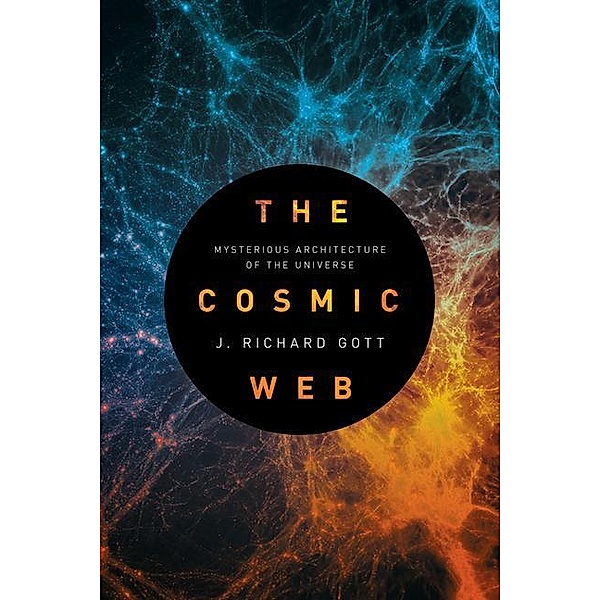 Cosmic Web, J. R. Gott