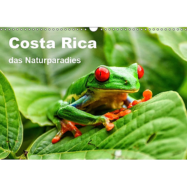 Costa Rica - das Naturparadies (Wandkalender 2019 DIN A3 quer), Oliver Nowak