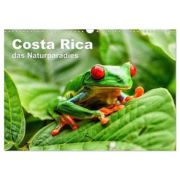 Costa Rica - das Naturparadies (Wandkalender 2024 DIN A3 quer), CALVENDO Monatskalender, Oliver Nowak