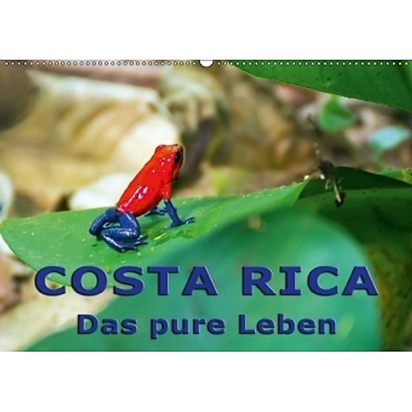 Costa Rica - das pure Leben (Wandkalender 2017 DIN A2 quer), Andreas Schön