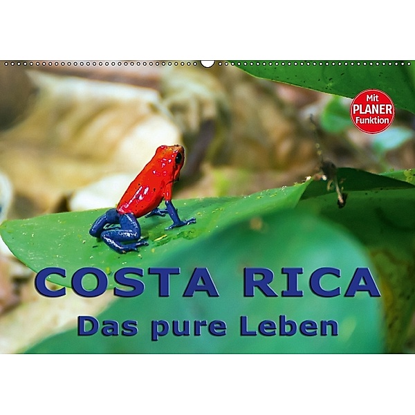 Costa Rica - das pure Leben (Wandkalender 2018 DIN A2 quer), Andreas Schön