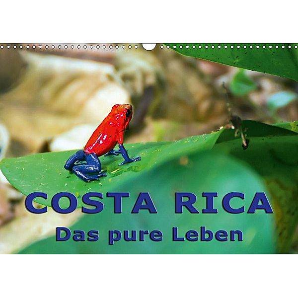 Costa Rica - das pure Leben (Wandkalender 2021 DIN A3 quer), Andreas Schön, Berlin