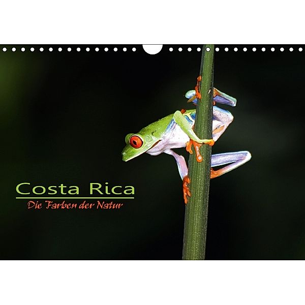 Costa Rica - Die Farben der Natur (Wandkalender 2018 DIN A4 quer), Dirk Stamm