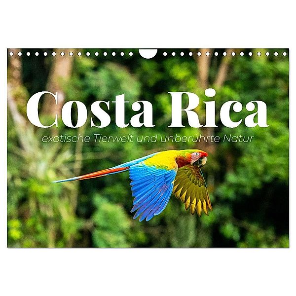 Costa Rica - exotische Tierwelt und unberührte Natur (Wandkalender 2024 DIN A4 quer), CALVENDO Monatskalender, Happy Monkey