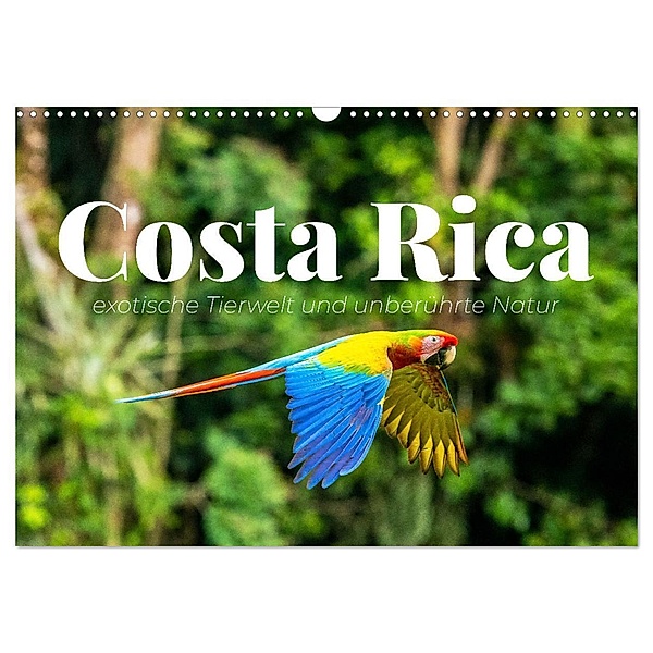Costa Rica - exotische Tierwelt und unberührte Natur (Wandkalender 2025 DIN A3 quer), CALVENDO Monatskalender, Calvendo, Happy Monkey