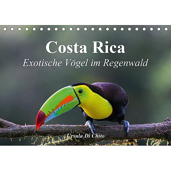 Costa Rica - Exotische Vögel im Regenwald (Tischkalender 2021 DIN A5 quer), Ursula Di Chito