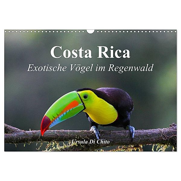 Costa Rica - Exotische Vögel im Regenwald (Wandkalender 2024 DIN A3 quer), CALVENDO Monatskalender, Ursula Di Chito