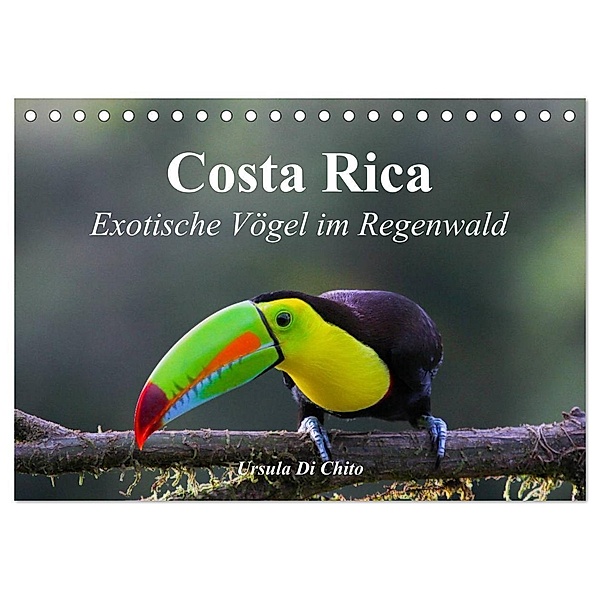 Costa Rica - Exotische Vögel im Regenwald (Tischkalender 2024 DIN A5 quer), CALVENDO Monatskalender, Ursula Di Chito