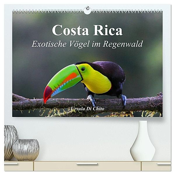 Costa Rica - Exotische Vögel im Regenwald (hochwertiger Premium Wandkalender 2024 DIN A2 quer), Kunstdruck in Hochglanz, Ursula Di Chito