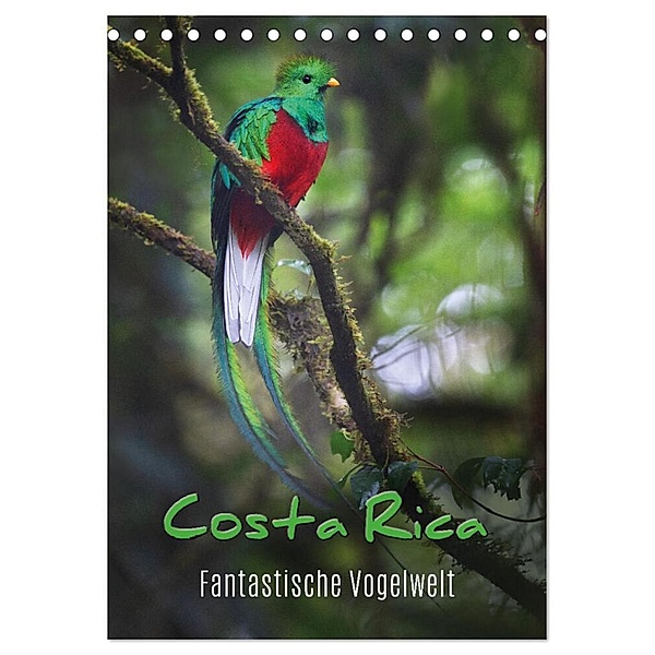 Costa Rica - Fantastische Vogelwelt (Tischkalender 2024 DIN A5 hoch), CALVENDO Monatskalender, Kevin Eßer