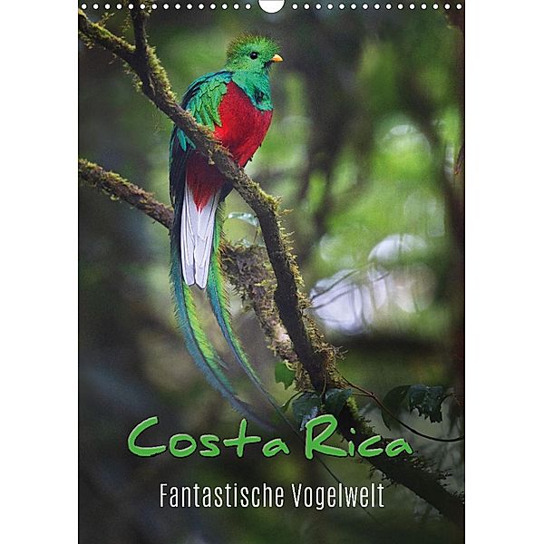 Costa Rica - Fantastische Vogelwelt (Wandkalender 2022 DIN A3 hoch), Kevin Eßer