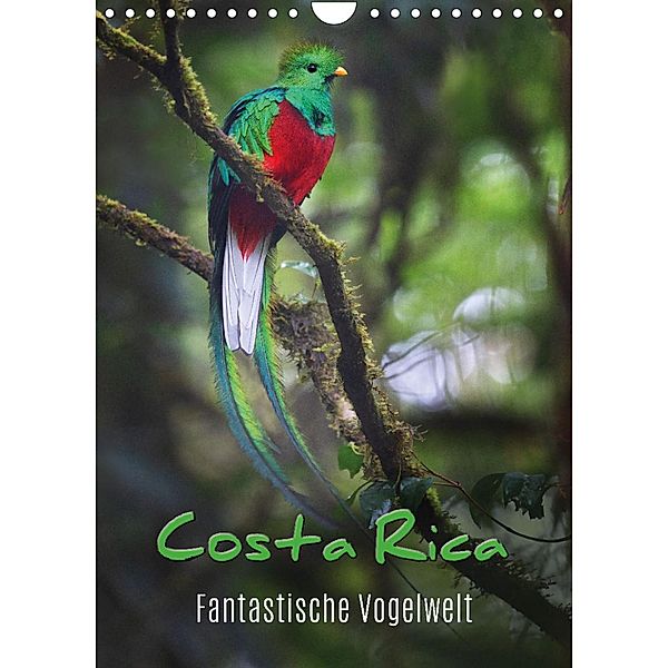 Costa Rica - Fantastische Vogelwelt (Wandkalender 2023 DIN A4 hoch), Kevin Eßer