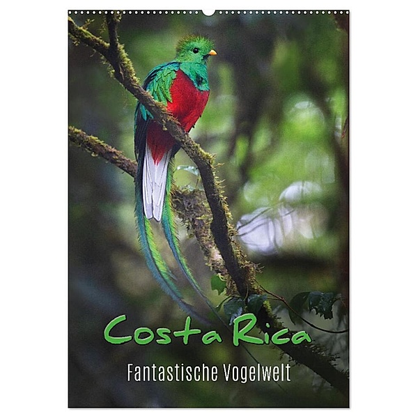 Costa Rica - Fantastische Vogelwelt (Wandkalender 2024 DIN A2 hoch), CALVENDO Monatskalender, Kevin Esser