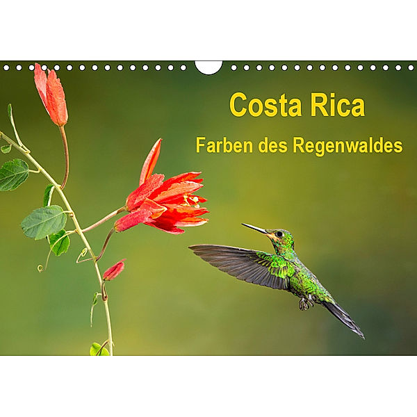 Costa Rica - Farben des Regenwaldes (Wandkalender 2019 DIN A4 quer), Akrema-Photography