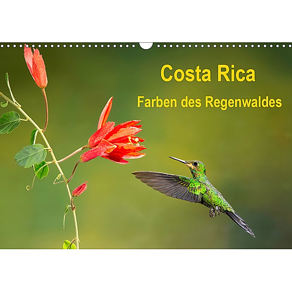 Costa Rica - Farben des Regenwaldes (Wandkalender 2020 DIN A3 quer), Akrema-Photography