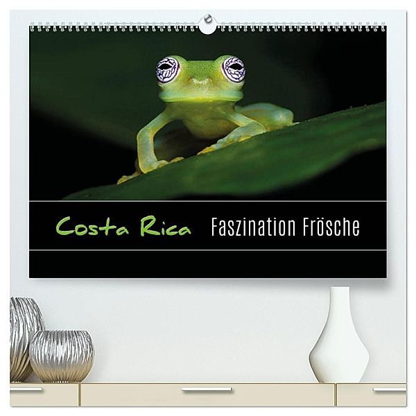 Costa Rica - Faszination Frösche (hochwertiger Premium Wandkalender 2024 DIN A2 quer), Kunstdruck in Hochglanz, Kevin Esser