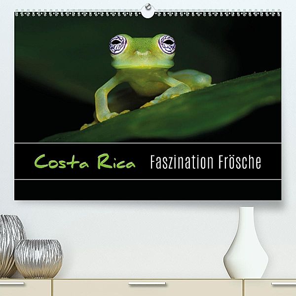 Costa Rica - Faszination Frösche (Premium, hochwertiger DIN A2 Wandkalender 2020, Kunstdruck in Hochglanz), Kevin Eßer