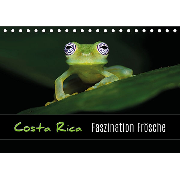 Costa Rica - Faszination Frösche (Tischkalender 2019 DIN A5 quer), Kevin Esser