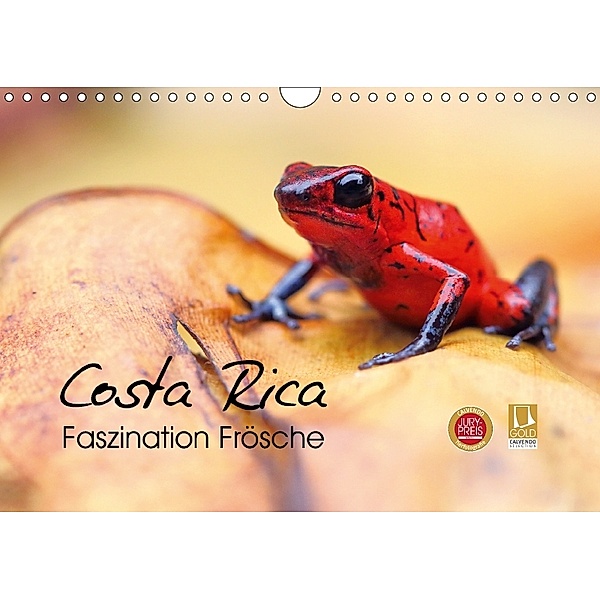 Costa Rica - Faszination Frösche (Wandkalender 2018 DIN A4 quer) Dieser erfolgreiche Kalender wurde dieses Jahr mit glei, Kevin Esser