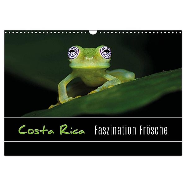 Costa Rica - Faszination Frösche (Wandkalender 2024 DIN A3 quer), CALVENDO Monatskalender, Kevin Esser