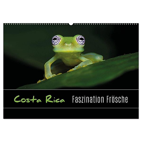 Costa Rica - Faszination Frösche (Wandkalender 2024 DIN A2 quer), CALVENDO Monatskalender, Kevin Esser