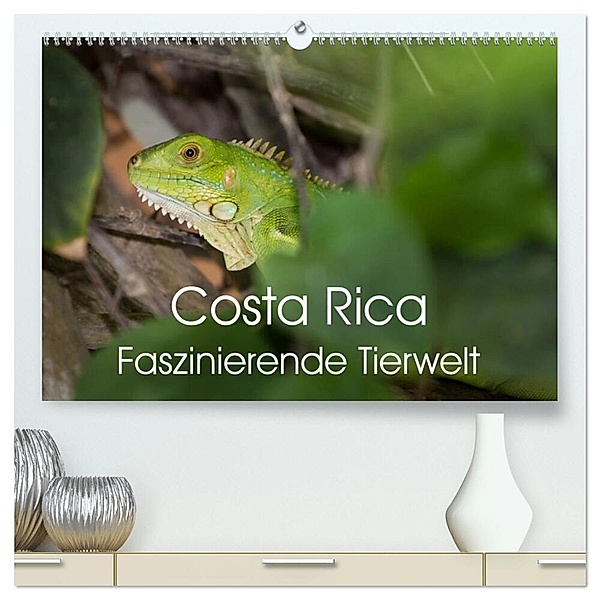 Costa Rica. Faszinierende Tierwelt (hochwertiger Premium Wandkalender 2024 DIN A2 quer), Kunstdruck in Hochglanz, Thomas Gerber