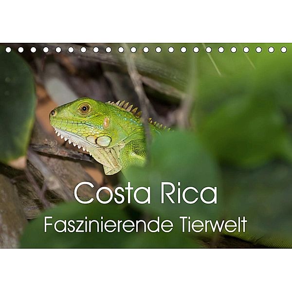 Costa Rica. Faszinierende Tierwelt (Tischkalender 2021 DIN A5 quer), Thomas Gerber