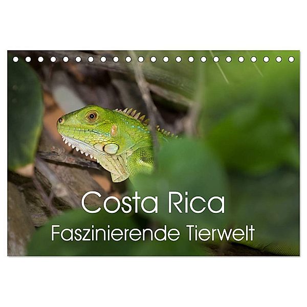 Costa Rica. Faszinierende Tierwelt (Tischkalender 2024 DIN A5 quer), CALVENDO Monatskalender, Thomas Gerber