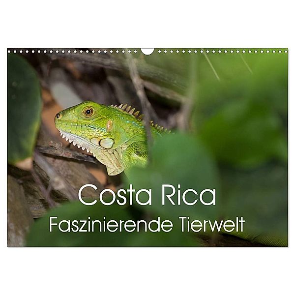 Costa Rica. Faszinierende Tierwelt (Wandkalender 2024 DIN A3 quer), CALVENDO Monatskalender, Thomas Gerber