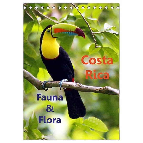 Costa Rica - Fauna & Flora (Tischkalender 2024 DIN A5 hoch), CALVENDO Monatskalender, Dirk Stamm
