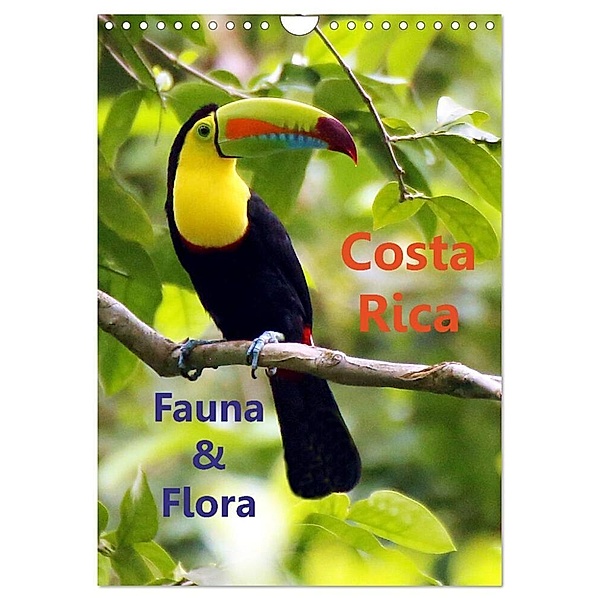 Costa Rica - Fauna & Flora (Wandkalender 2024 DIN A4 hoch), CALVENDO Monatskalender, Dirk Stamm