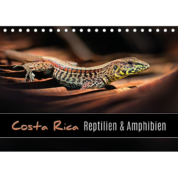 Costa Rica - Reptilien und Amphibien (Tischkalender 2019 DIN A5 quer), Kevin Eßer