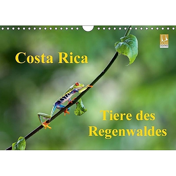 Costa Rica - Tiere des Regenwaldes (Wandkalender 2017 DIN A4 quer), Akrema-Photography