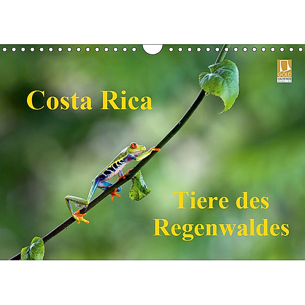 Costa Rica - Tiere des Regenwaldes (Wandkalender 2019 DIN A4 quer), Akrema-Photography