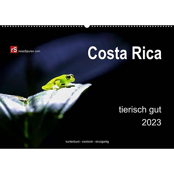 Costa Rica tierisch gut 2023 (Wandkalender 2023 DIN A2 quer), Uwe Bergwitz