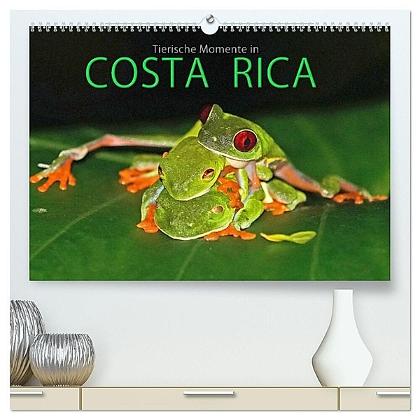 COSTA RICA - Tierische Momente (hochwertiger Premium Wandkalender 2024 DIN A2 quer), Kunstdruck in Hochglanz, Michael Matziol