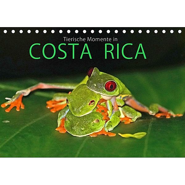 COSTA RICA - Tierische Momente (Tischkalender 2020 DIN A5 quer), Michael Matziol