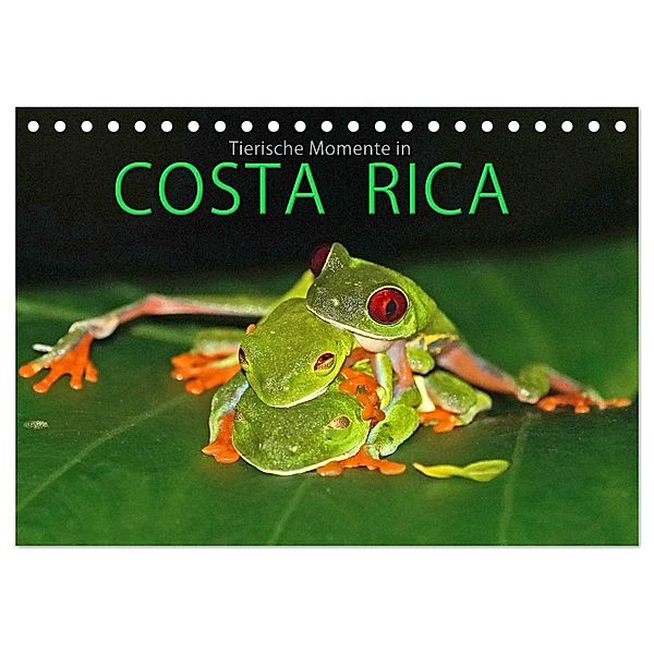 COSTA RICA - Tierische Momente (Tischkalender 2025 DIN A5 quer), CALVENDO Monatskalender, Calvendo, Michael Matziol