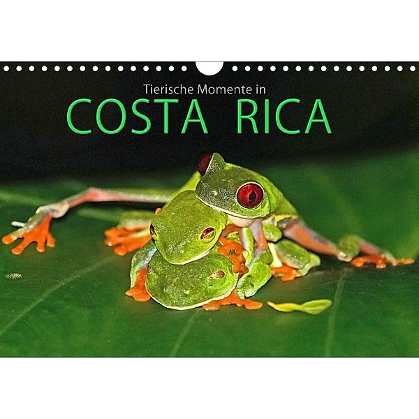 COSTA RICA - Tierische Momente (Wandkalender 2021 DIN A4 quer), Michael Matziol