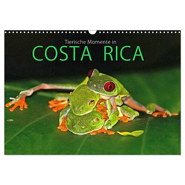 COSTA RICA - Tierische Momente (Wandkalender 2024 DIN A3 quer), CALVENDO Monatskalender, Michael Matziol