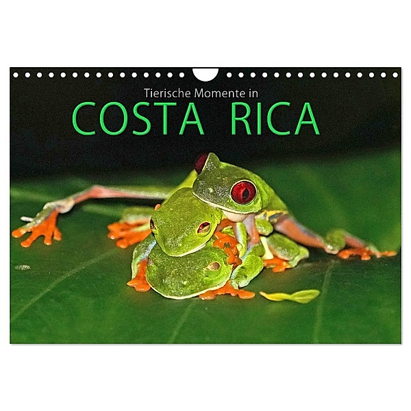 COSTA RICA - Tierische Momente (Wandkalender 2025 DIN A4 quer), CALVENDO Monatskalender, Calvendo, Michael Matziol