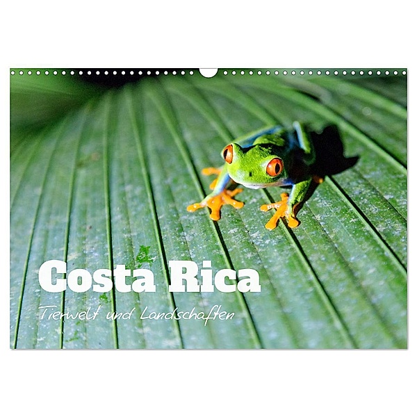 Costa Rica - Tierwelt und Landschaften (Wandkalender 2024 DIN A3 quer), CALVENDO Monatskalender, Matteo Colombo