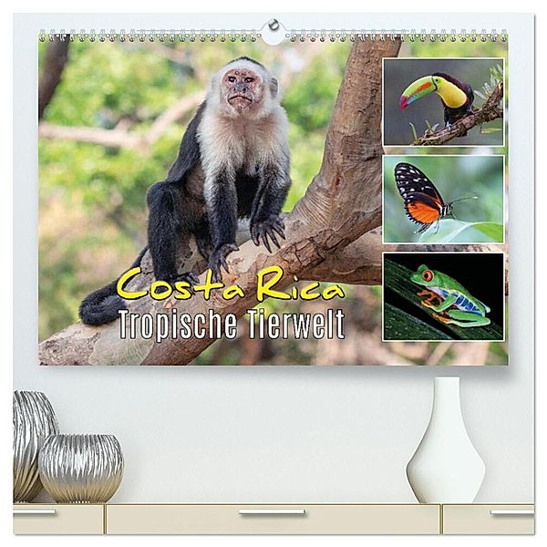 Costa Rica - Tropische Tierwelt (hochwertiger Premium Wandkalender 2024 DIN A2 quer), Kunstdruck in Hochglanz, Kevin Eßer