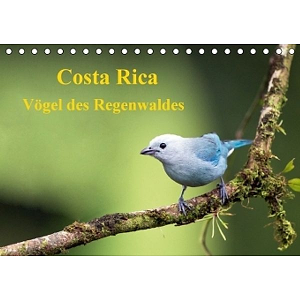 Costa Rica - Vögel des Regenwaldes (Tischkalender 2016 DIN A5 quer), Akrema-Photography