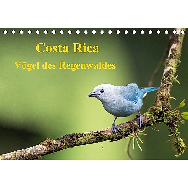 Costa Rica - Vögel des Regenwaldes (Tischkalender 2020 DIN A5 quer)
