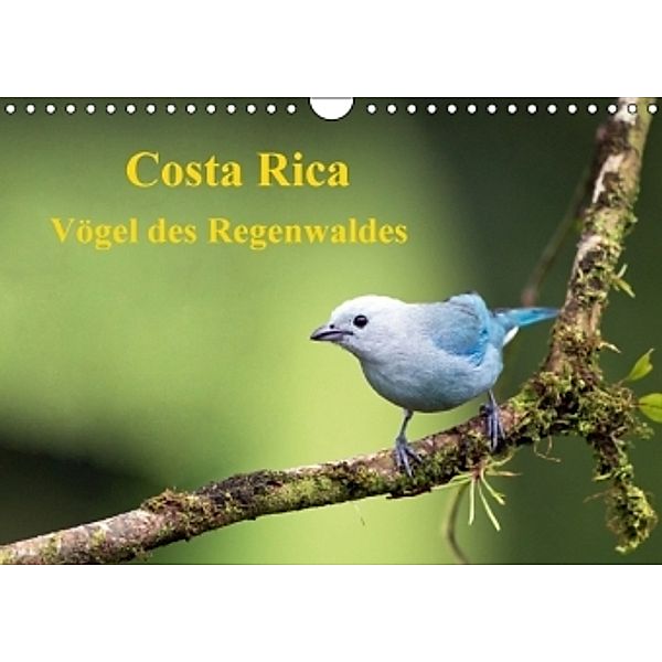 Costa Rica - Vögel des Regenwaldes (Wandkalender 2016 DIN A4 quer), Akrema-Photography