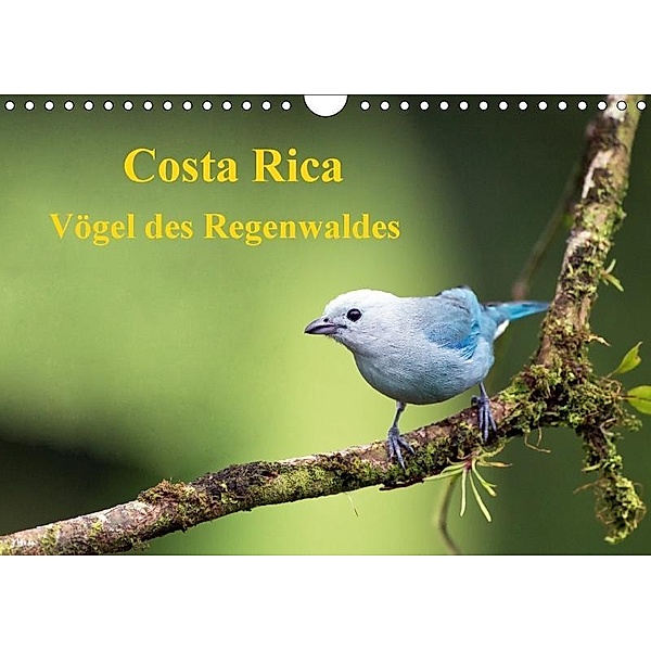 Costa Rica - Vögel des Regenwaldes (Wandkalender 2017 DIN A4 quer), Akrema-Photography