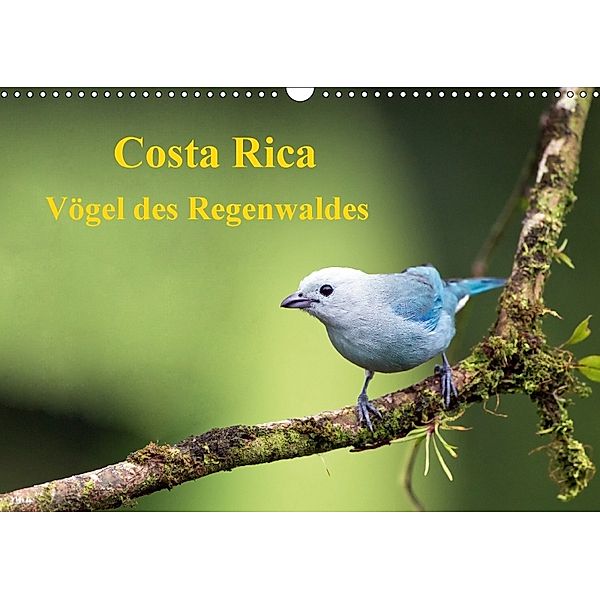 Costa Rica - Vögel des Regenwaldes (Wandkalender 2018 DIN A3 quer), Akrema-Photography