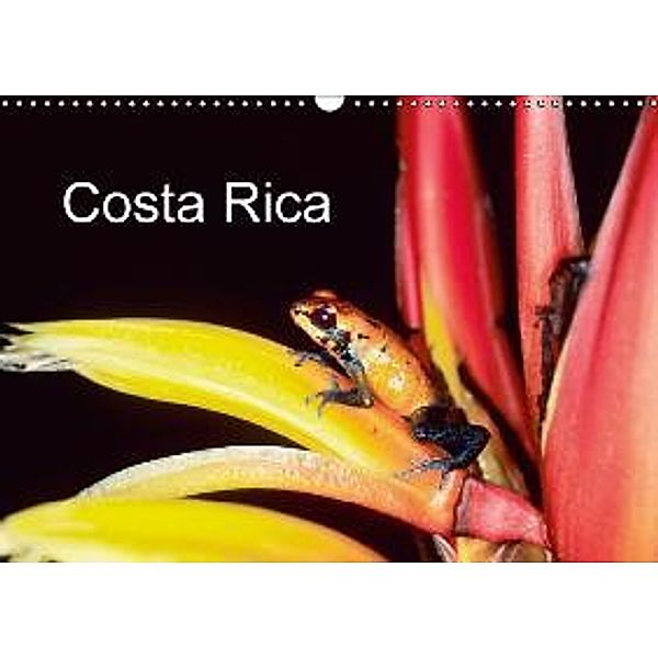 Costa Rica (Wandkalender 2016 DIN A3 quer), Berndt Fischer